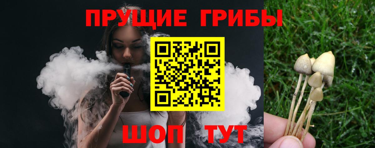 Великий Устюг  Псилоцибиновые грибы Magic Shrooms  магазин продажи   Псилоцибиновые грибы GOLDEN TEACHER  Вход с VPN 